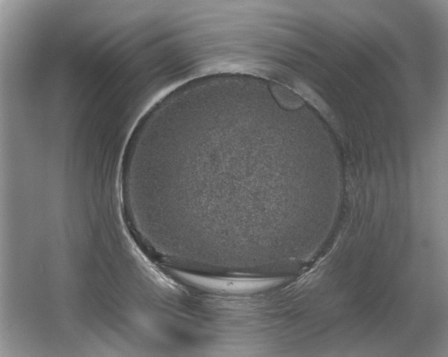 X0000067461028200604101127