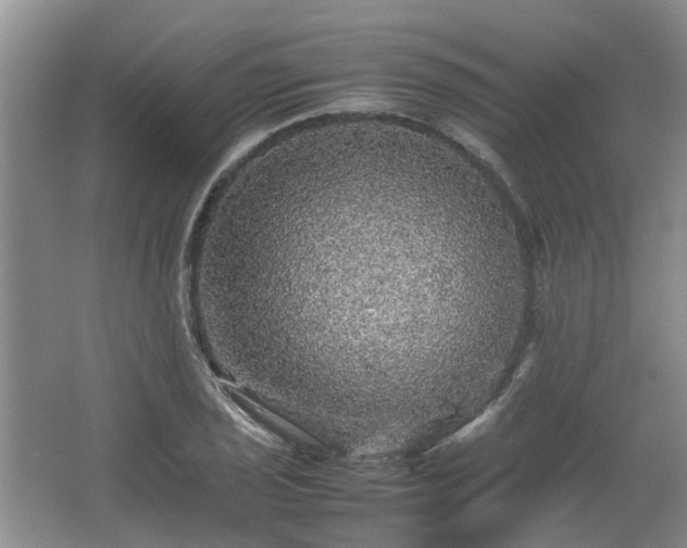 X0000067461029200604101127