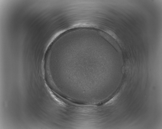 X0000067461030200604101127