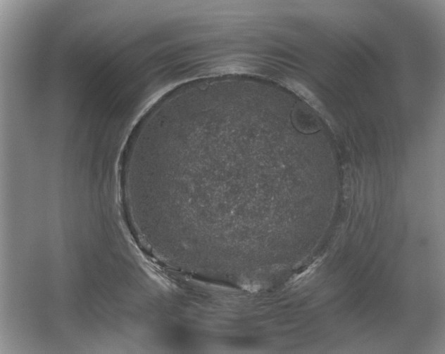 X0000067461031200604101127