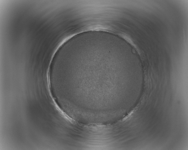 X0000067461032200604101127