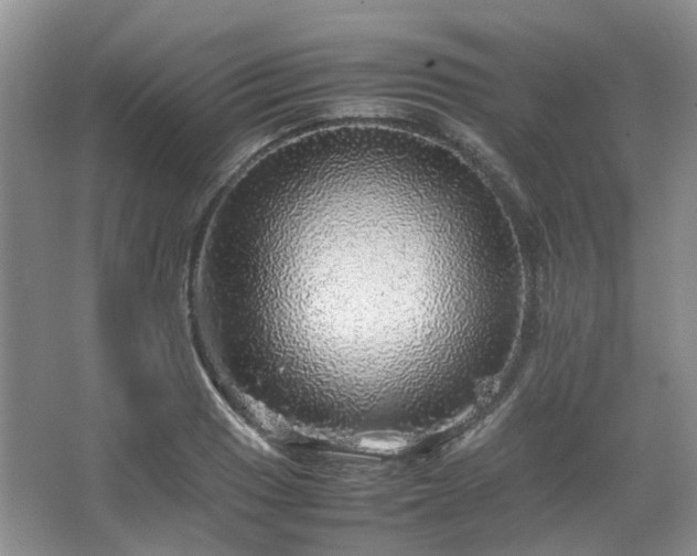 X0000067461033200604101127