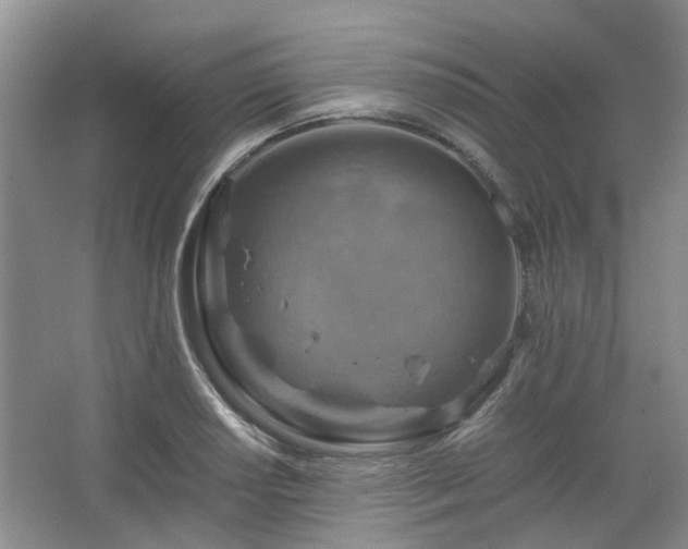 X0000067461034200604101127