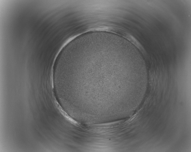 X0000067461036200604101128