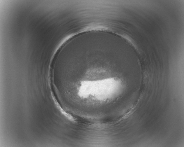 X0000067461038200604101128