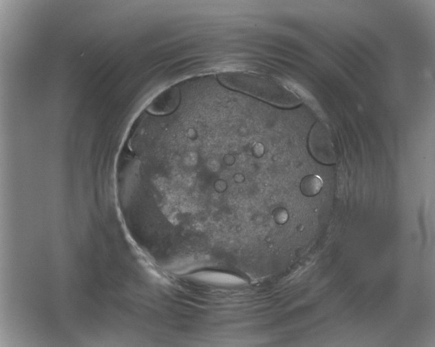 X0000067461039200604101128