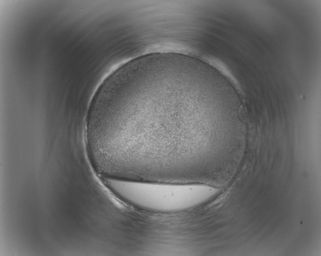 X0000067461040200604101128