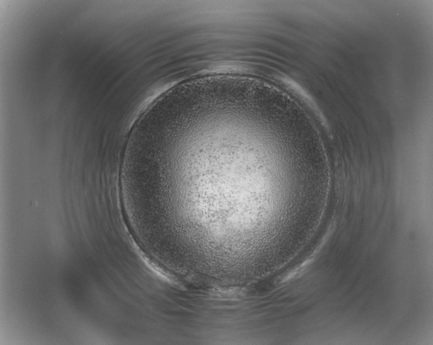 X0000067461041200604101128