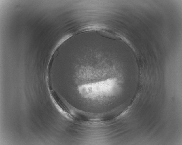 X0000067461042200604101128