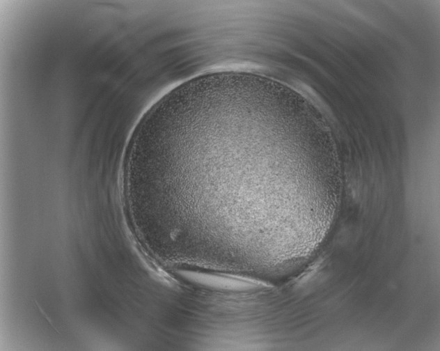 X0000067461044200604101128