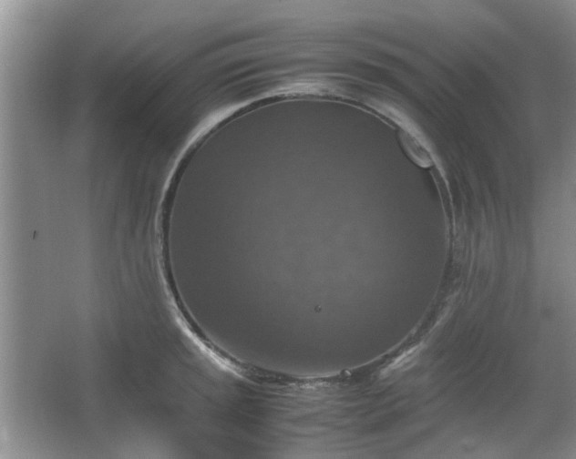 X0000067461045200604101128