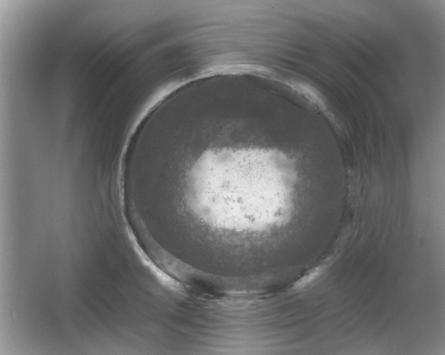 X0000067461046200604101128