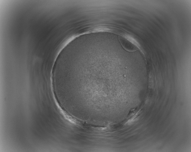 X0000067461047200604101128