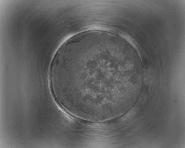 X0000067461048200604101128