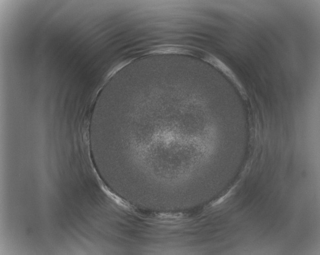 X0000067461049200604101128