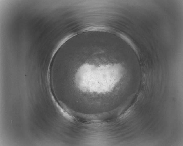 X0000067461050200604101128