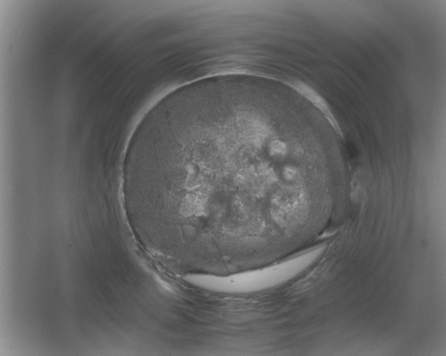 X0000067461051200604101128