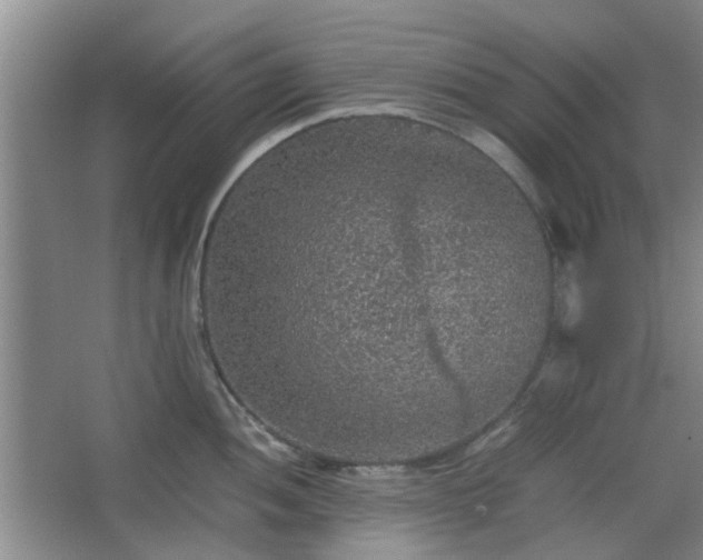 X0000067461052200604101128