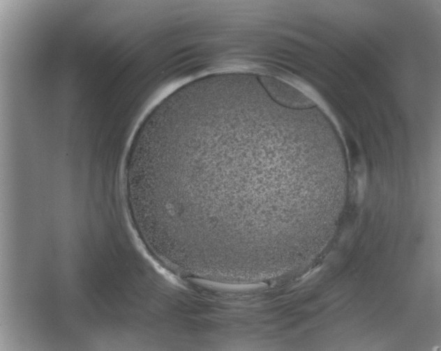 X0000067461053200604101128