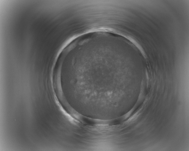 X0000067461054200604101128