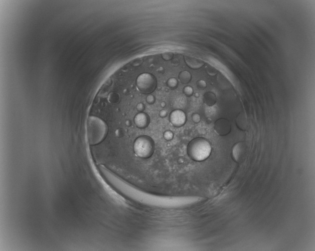 X0000067461055200604101128