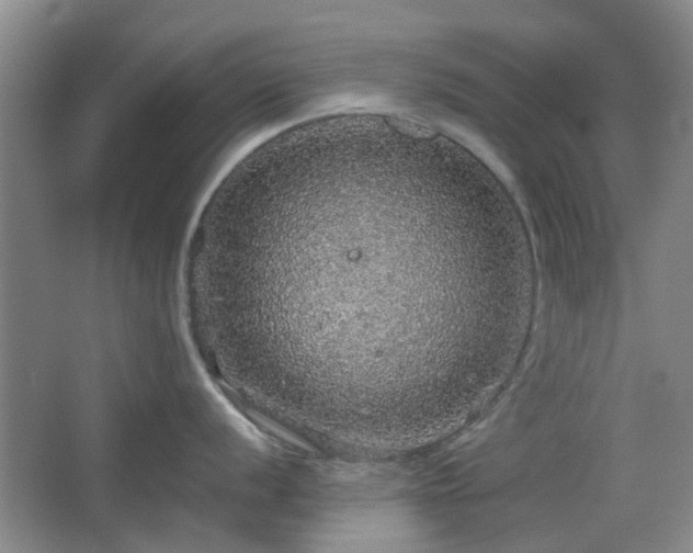 X0000067461056200604101128