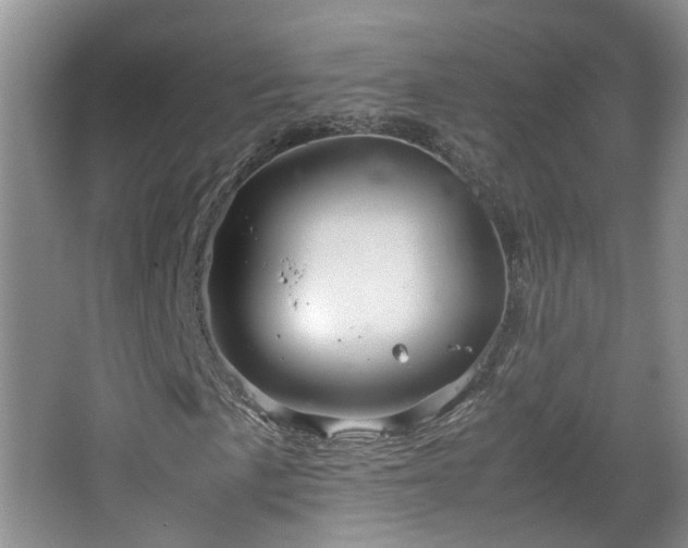 X0000067461057200604101127