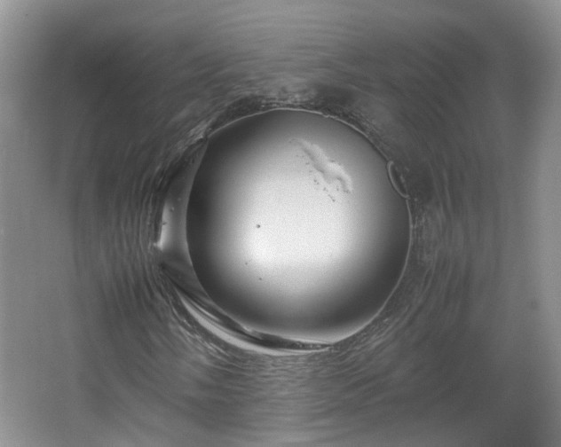 X0000067461058200604101127