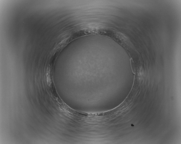 X0000067461060200604101127