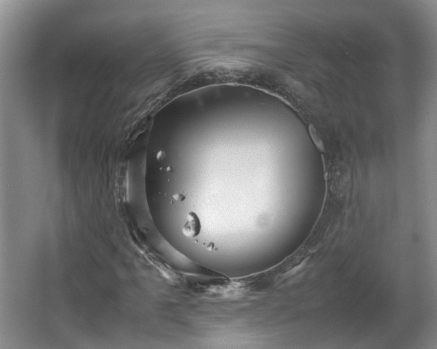 X0000067461061200604101127