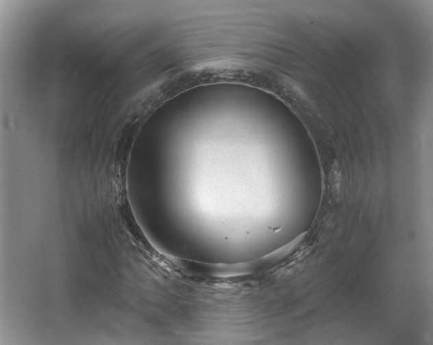 X0000067461062200604101127