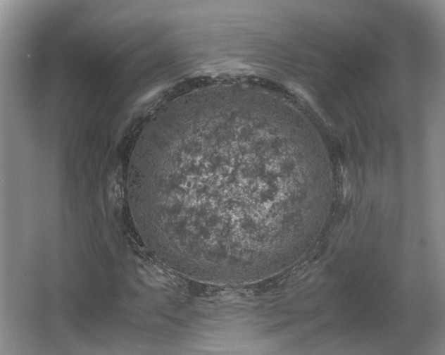 X0000067461063200604101127