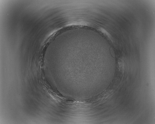 X0000067461064200604101127