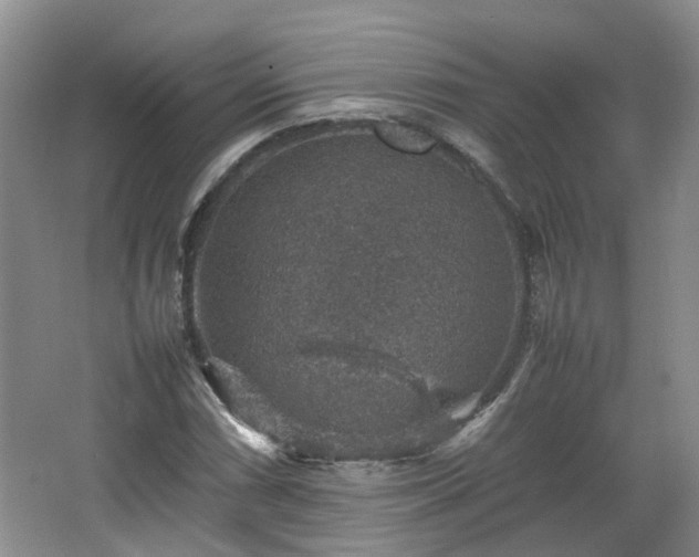 X0000067461066200604101127