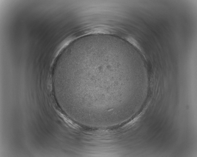 X0000067461067200604101127