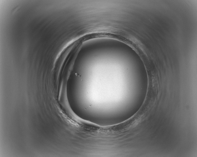 X0000067461069200604101127