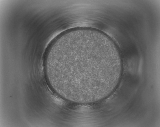 X0000067461070200604101127