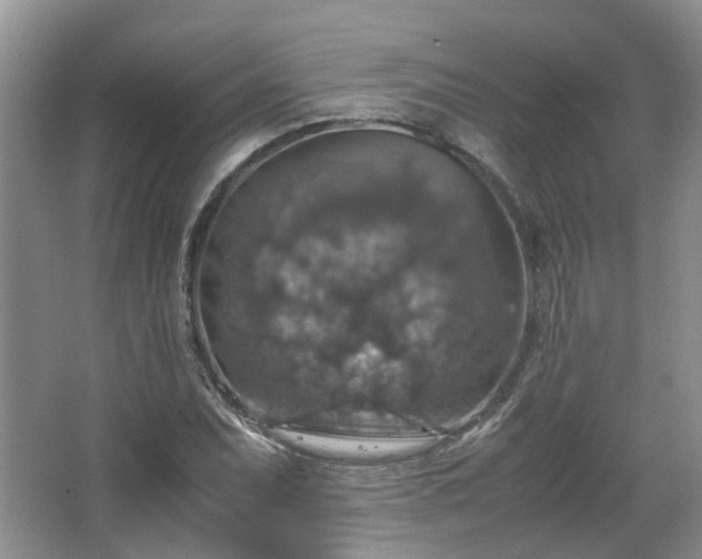 X0000067461071200604101127