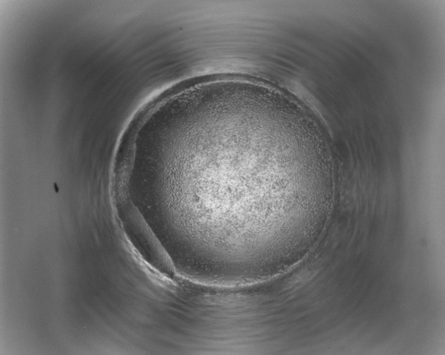 X0000067461072200604101127