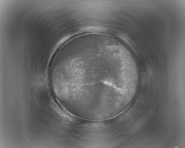 X0000067461074200604101127