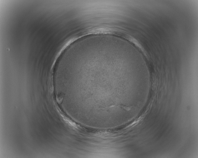 X0000067461075200604101127