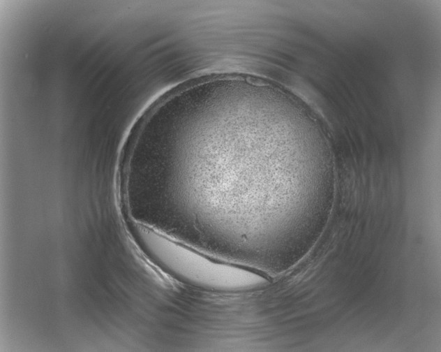 X0000067461076200604101127