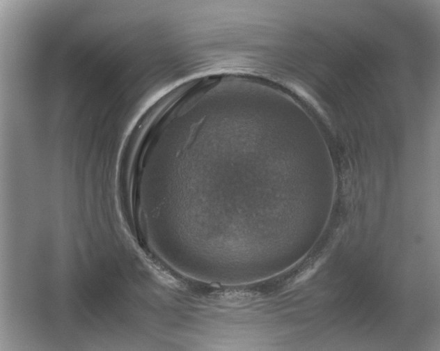 X0000067461077200604101127