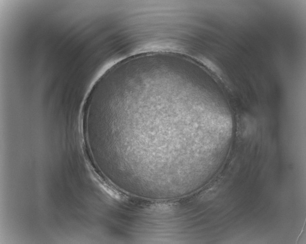 X0000067461078200604101127