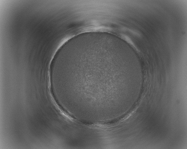 X0000067461079200604101127