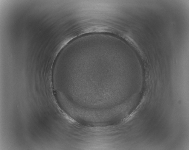 X0000067461081200604101127