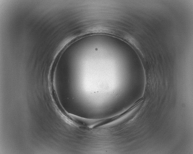 X0000067461082200604101127