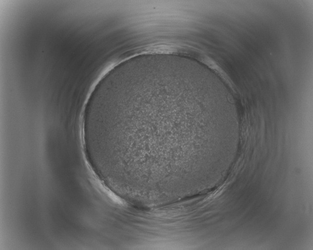 X0000067461083200604101127