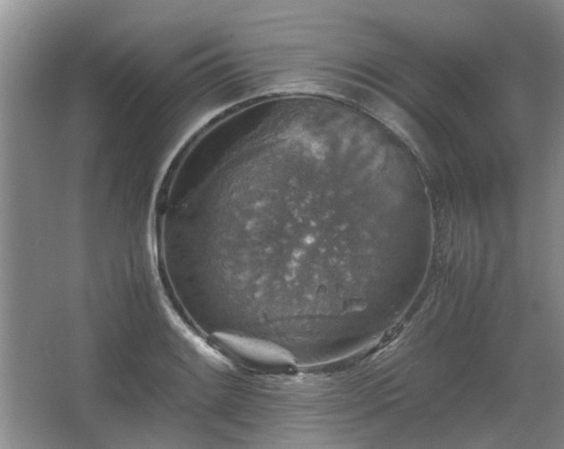 X0000067461084200604101127