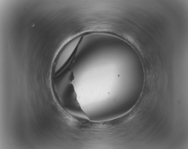 X0000067461085200604101127